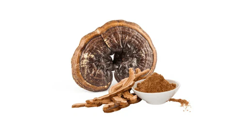 Pure Fungi Reishi Capsules