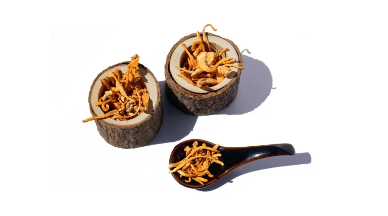 benefits of reishi