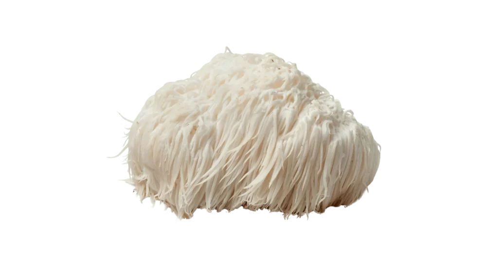 benefits of lions mane