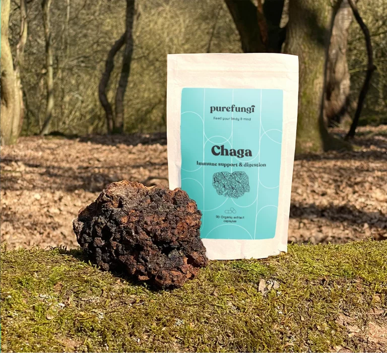 chaga mushroom supplements