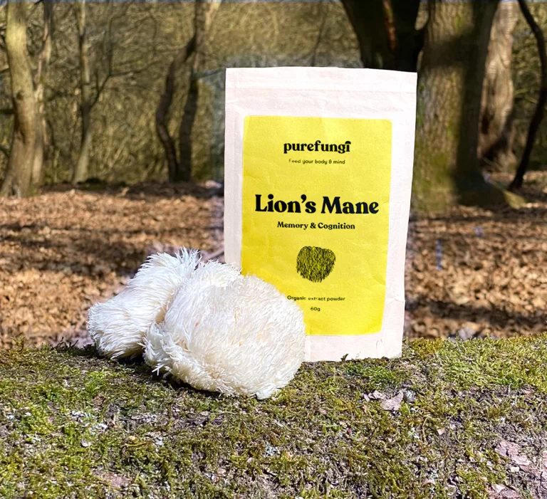 pure fungi lions mane
