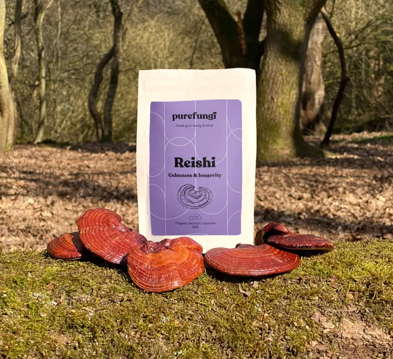 pure fungi reishi capsules